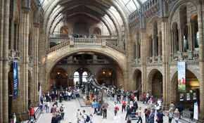 Natural History Museum